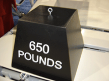 capability bariatricbed 650 lb. weight capacity